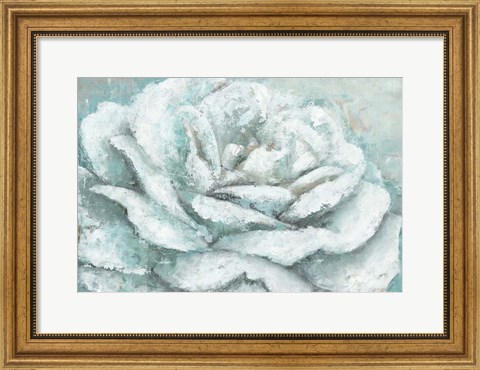 Framed White Rose Splendor Print