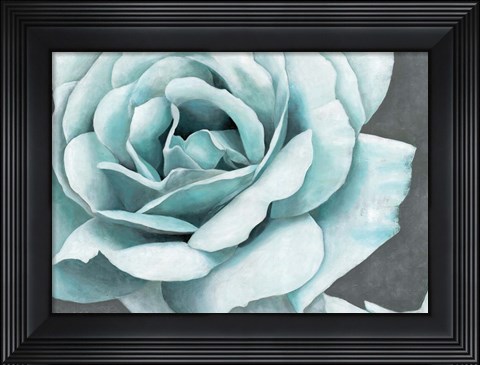 Framed Rose Bloom Print