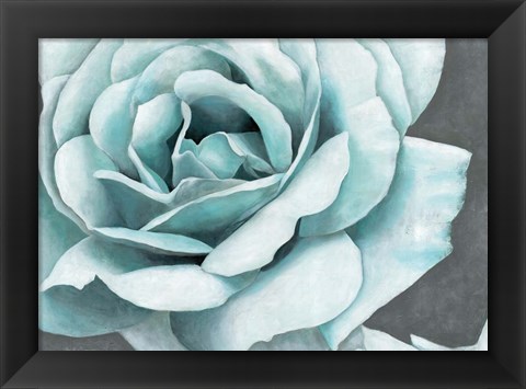 Framed Rose Bloom Print