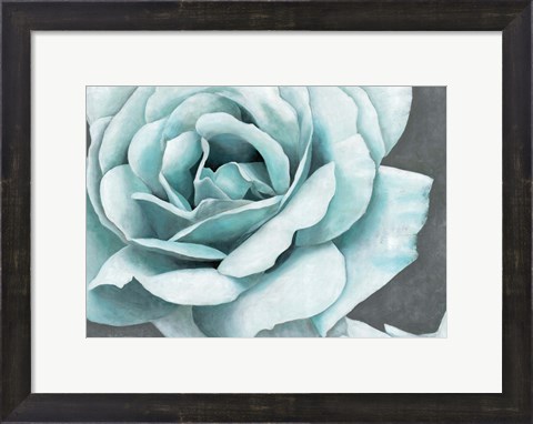 Framed Rose Bloom Print