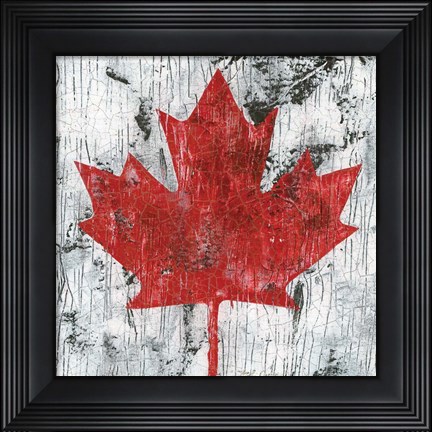 Framed Canada Maple Leaf I Print