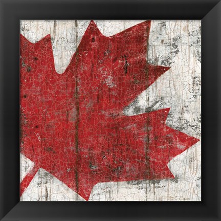 Framed Canada Maple Leaf II Print