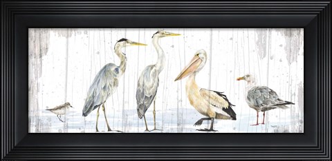 Framed Birds of the Coast Rustic Panel Print