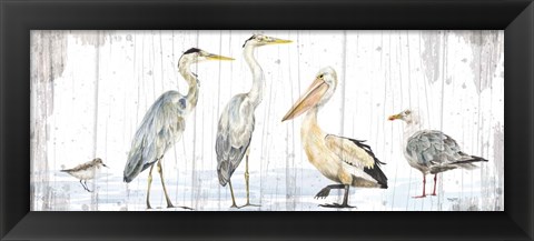 Framed Birds of the Coast Rustic Panel Print