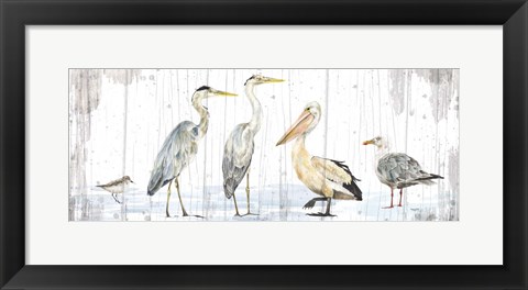 Framed Birds of the Coast Rustic Panel Print