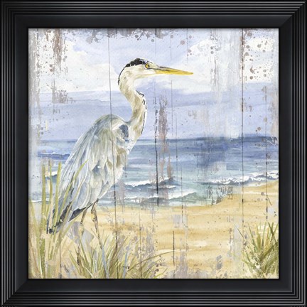 Framed Birds of the Coast Rustic I Print