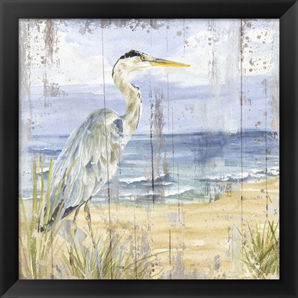 Framed Birds of the Coast Rustic I Print