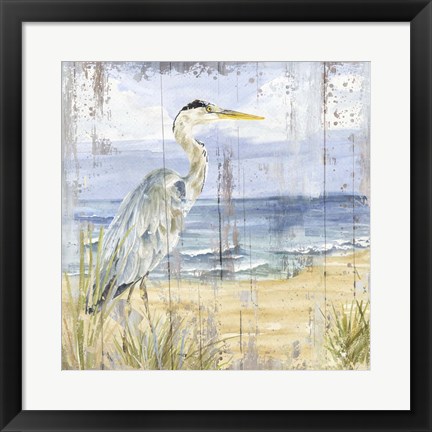 Framed Birds of the Coast Rustic I Print