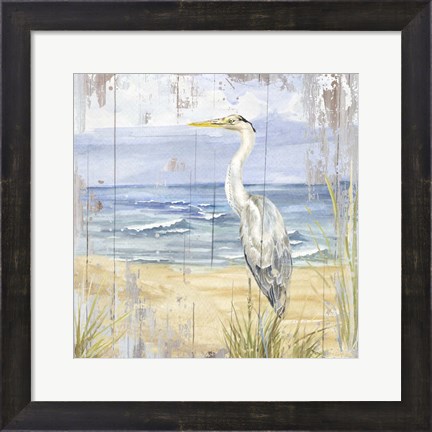 Framed Birds of the Coast Rustic II Print