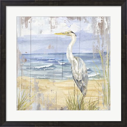 Framed Birds of the Coast Rustic II Print