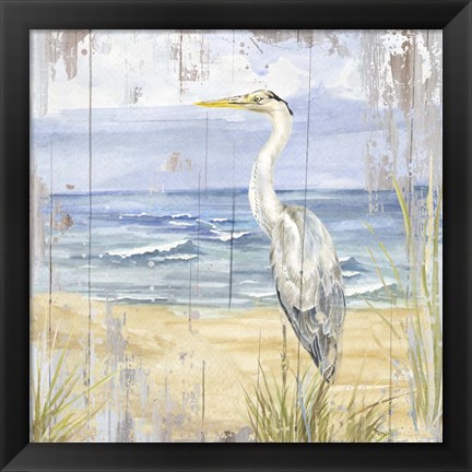 Framed Birds of the Coast Rustic II Print