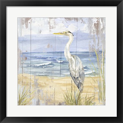 Framed Birds of the Coast Rustic II Print