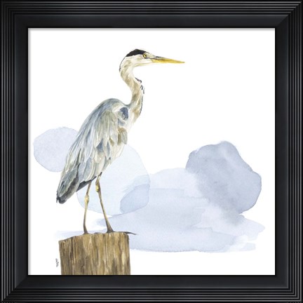 Framed Birds of the Coast on White I Print