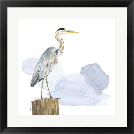 Framed Birds of the Coast on White I Print