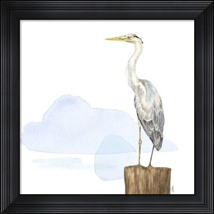 Framed Birds of the Coast on White II Print