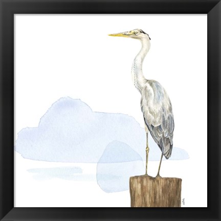 Framed Birds of the Coast on White II Print