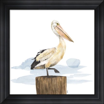 Framed Birds of the Coast on White III Print
