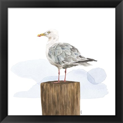 Framed Birds of the Coast on White IV Print