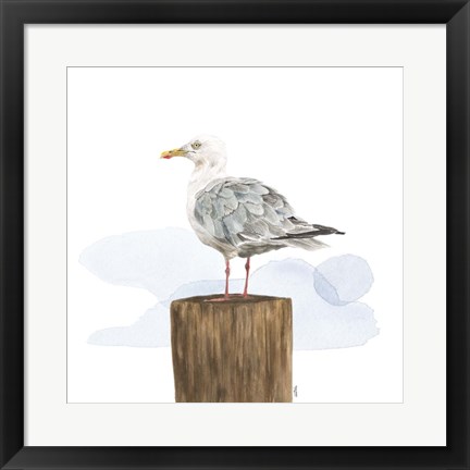 Framed Birds of the Coast on White IV Print