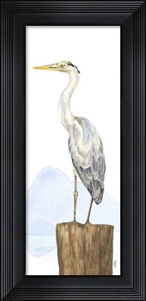 Framed Birds of the Coast Panel II Print