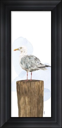 Framed Birds of the Coast Panel IV Print