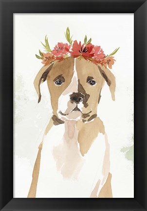 Framed Puppy II Print