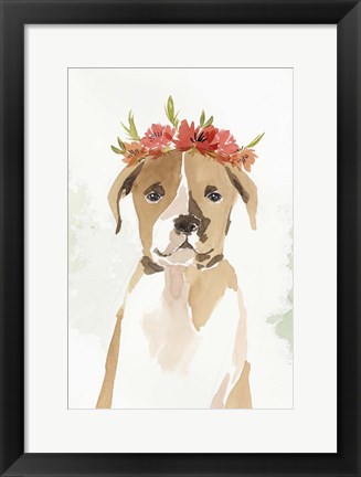 Framed Puppy II Print