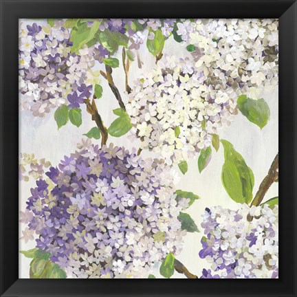 Framed Summer Hydrangea I Print