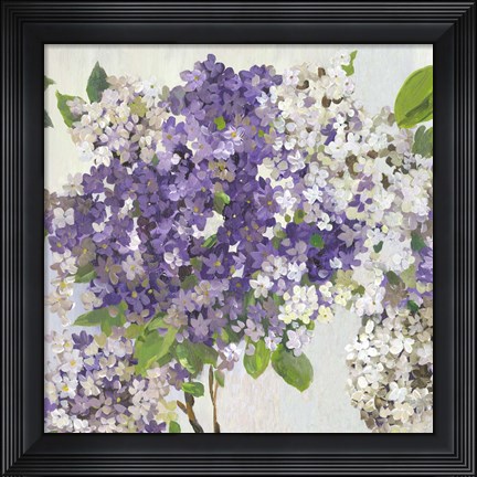 Framed Summer Hydrangea II Print