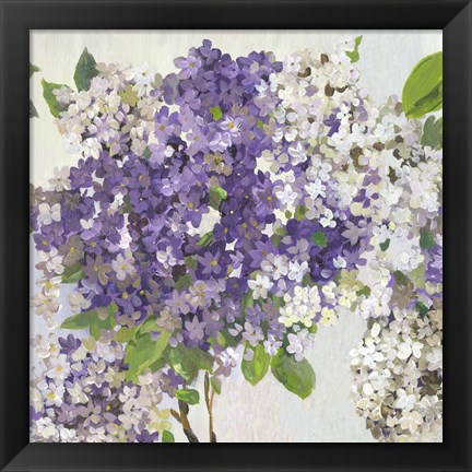 Framed Summer Hydrangea II Print