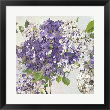 Framed Summer Hydrangea II Print