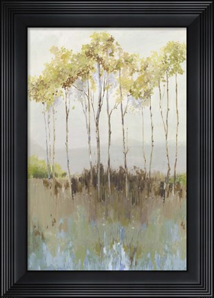 Framed Peaceful Woodland Print