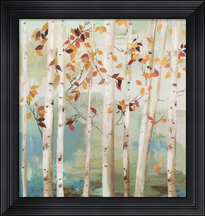 Framed Fall Birch Trees Print