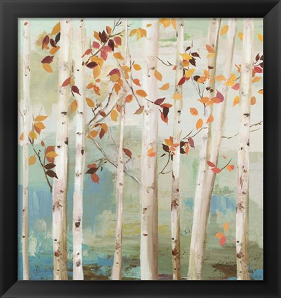 Framed Fall Birch Trees Print