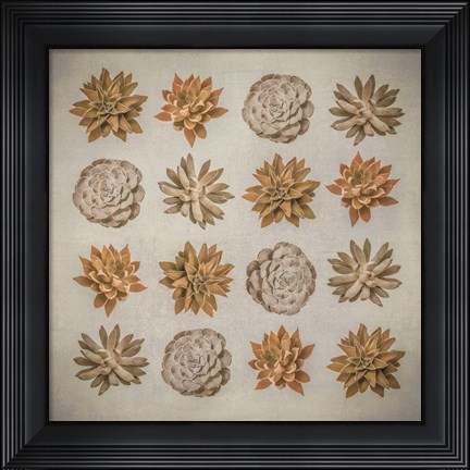 Framed Succulent Print