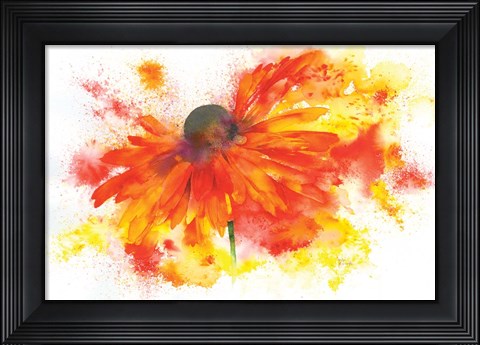 Framed Single Rudbeckia Print