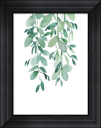 Framed Eucalyptus Print