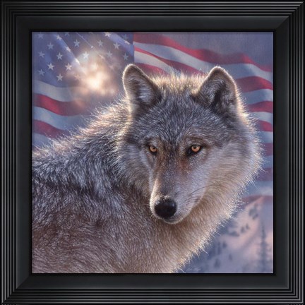 Framed Lone Wolf America Print