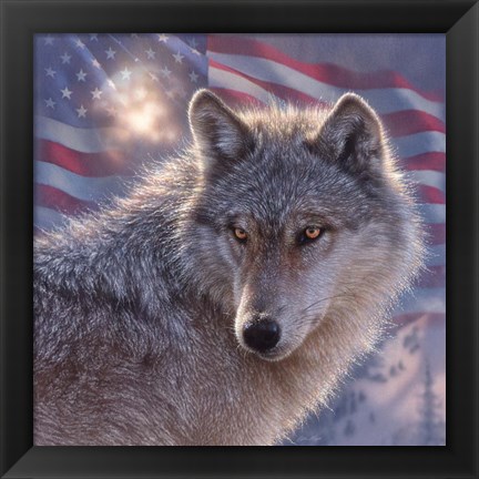 Framed Lone Wolf America Print