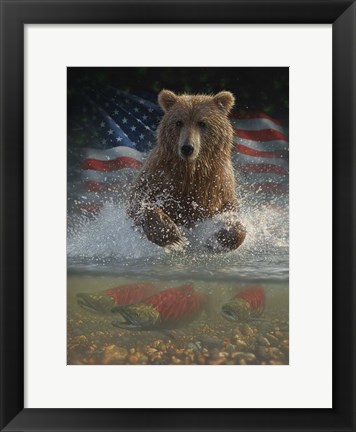 Framed Brown Bear Fishing America Print