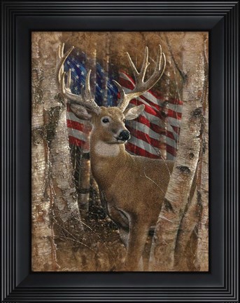 Framed Whitetail Buck America Print