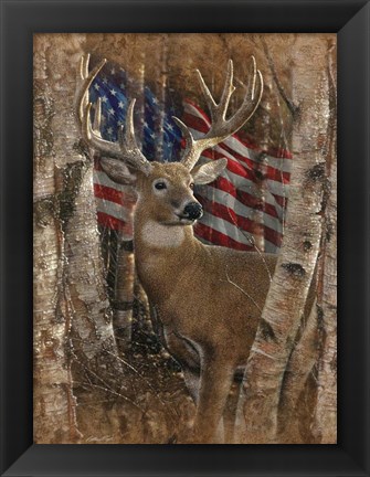 Framed Whitetail Buck America Print