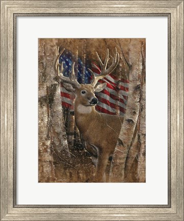 Framed Whitetail Buck America Print