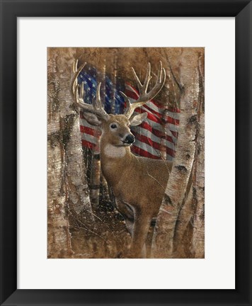 Framed Whitetail Buck America Print