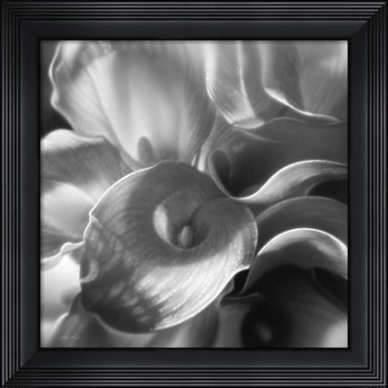 Framed Calla Lillie Bouquet Print