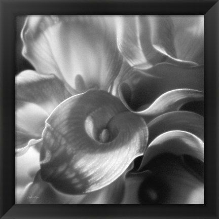 Framed Calla Lillie Bouquet Print