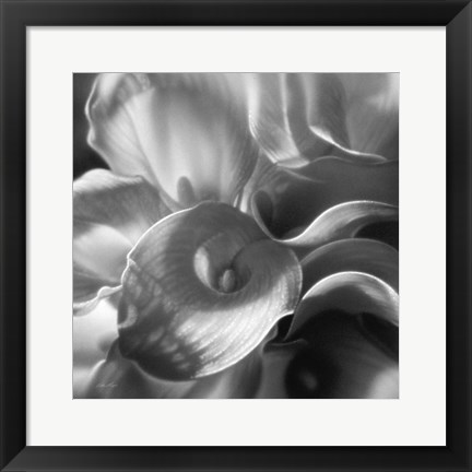 Framed Calla Lillie Bouquet Print