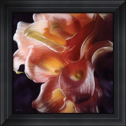 Framed Calla Lilies - Emerging Dawn Print