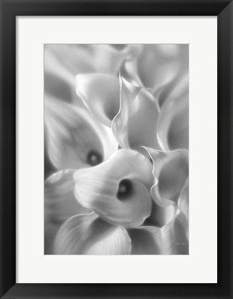 Framed Calla Lilies Print