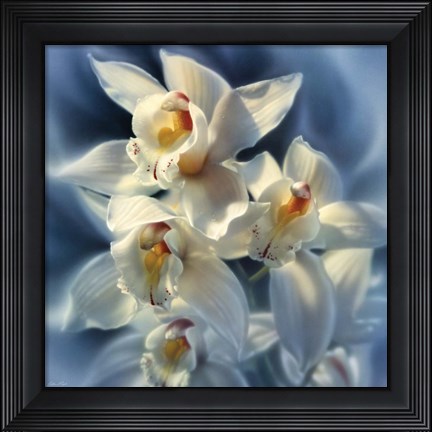 Framed Orchids Print